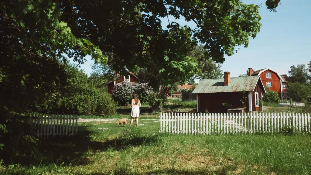 Svensk sommar på landsbygden med röda stugor